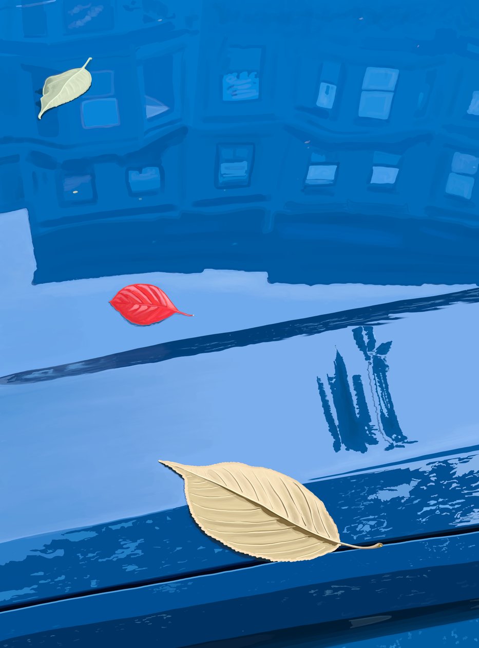 Nedfaldne blade på blå bil, Brooklyn (digital kunst) af Evan Sklar