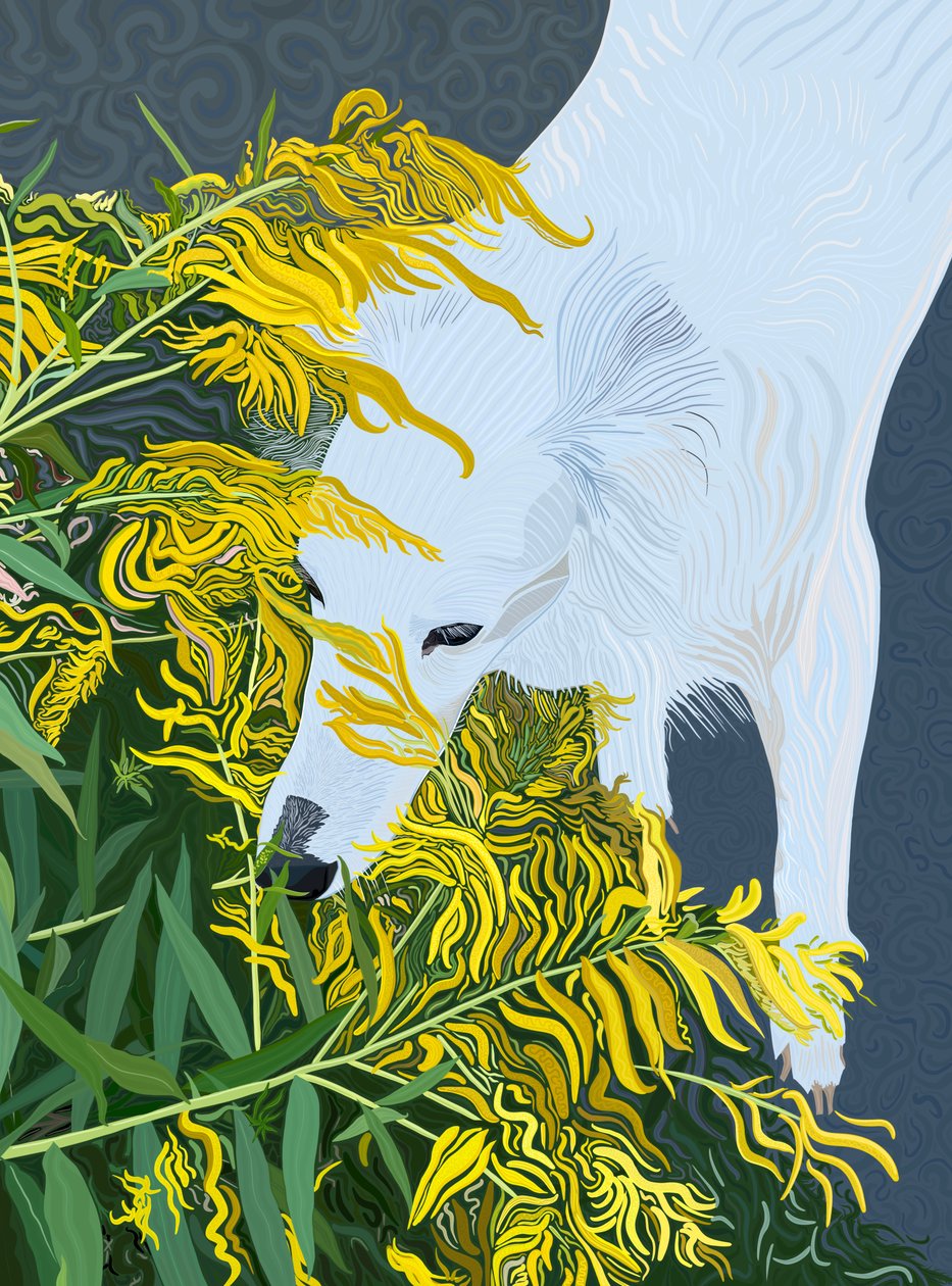 Goatdbeard White Dog og Goldenrod (digital kunst) af Evan Sklar