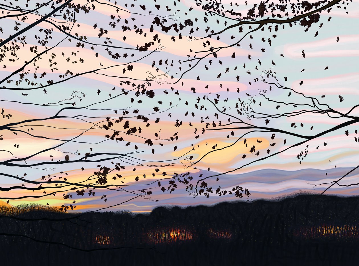 Hawk On Branch, prospect park (digital kunst) af Evan Sklar