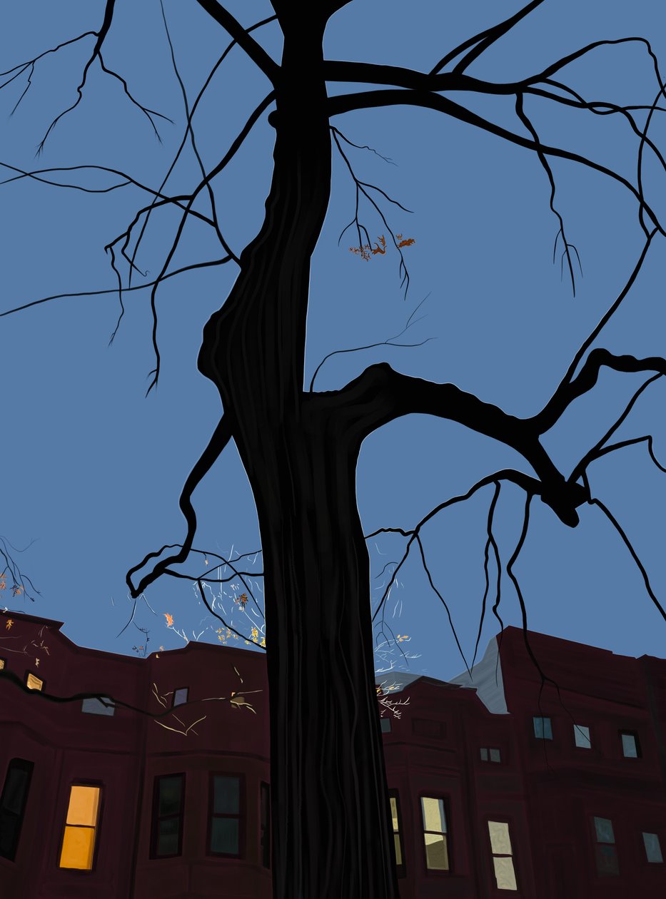 Huse og træer om natten, Brooklyn. (digital kunst) af Evan Sklar