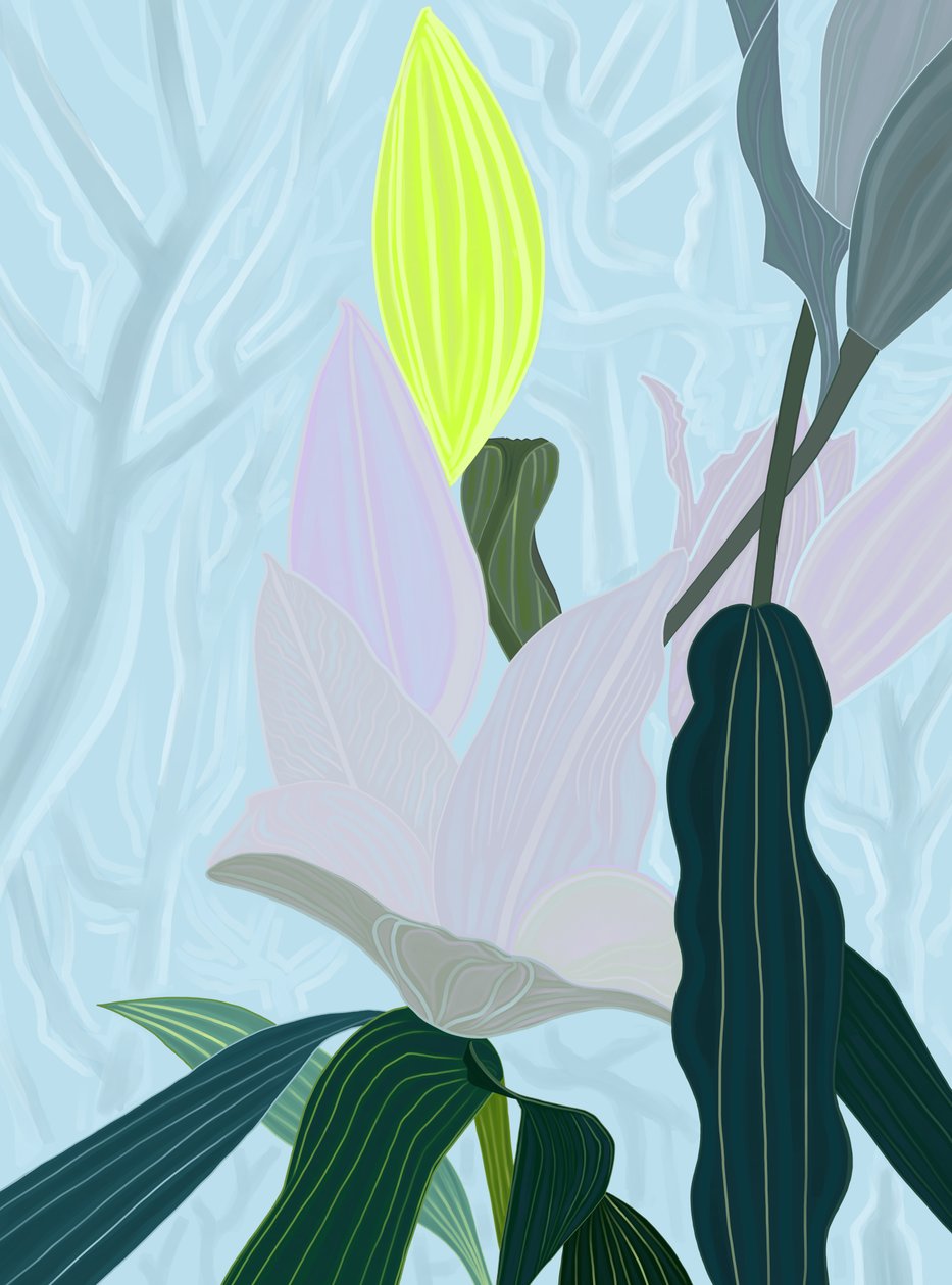 Lily (digital kunst) af Evan Sklar
