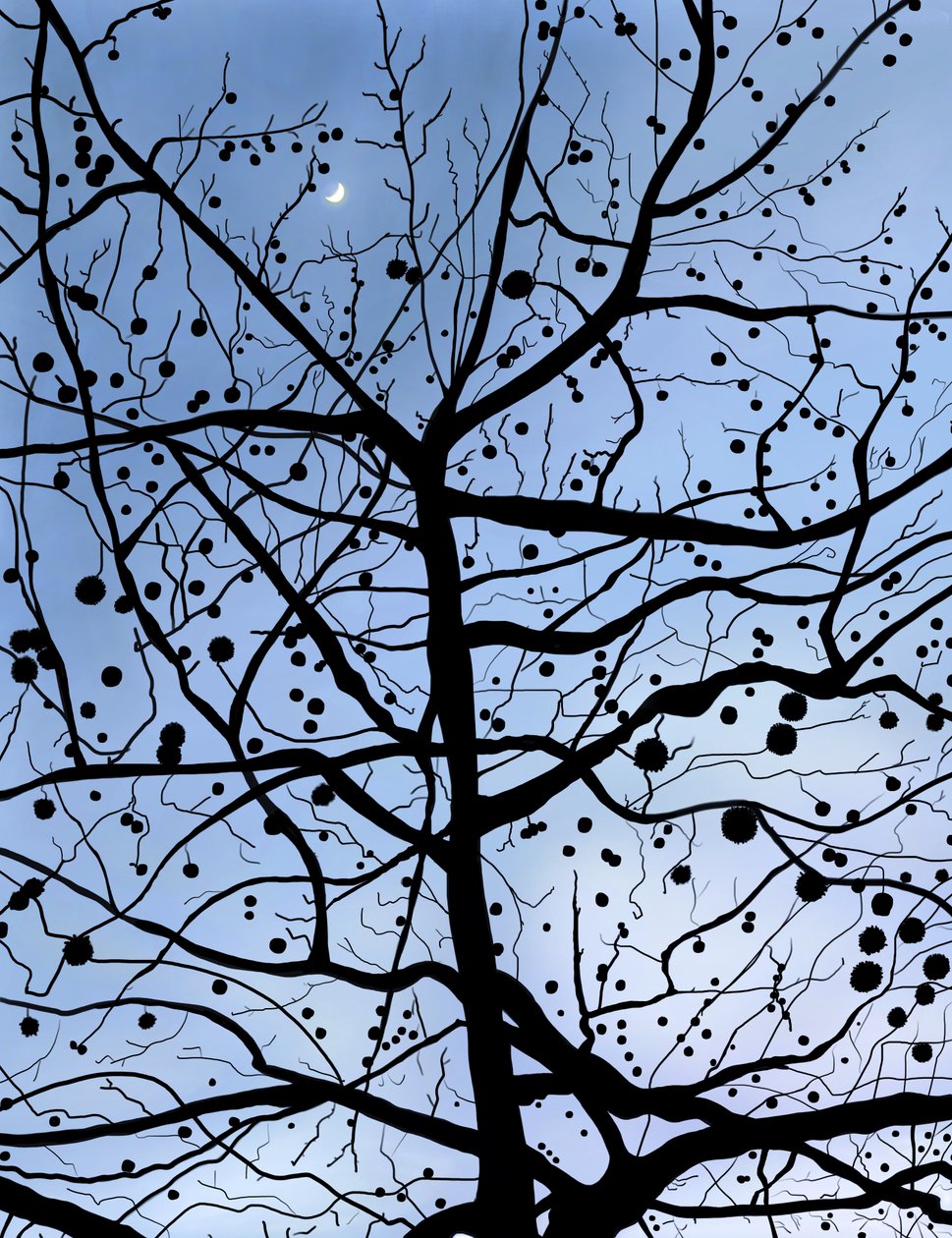 London PlaneTree og Moon, Brooklyn (digital kunst) af Evan Sklar
