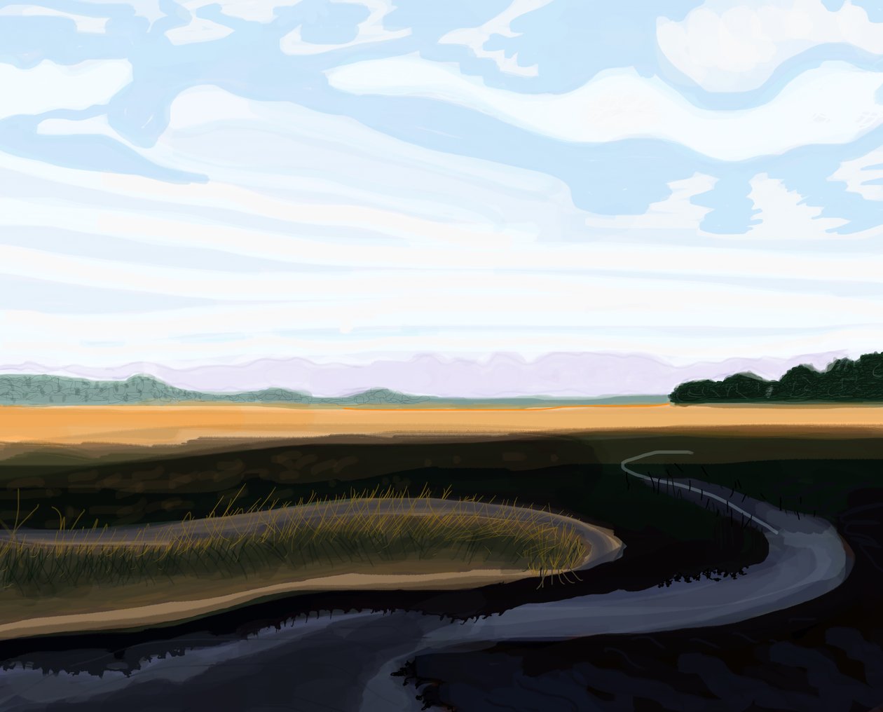 Low Country, 2016 (håndtegnet på en iPad med en Apple-blyant) af Evan Sklar