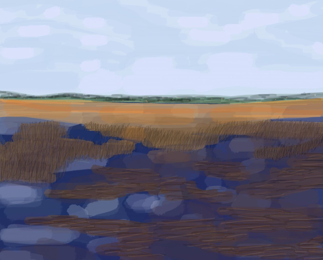 Low Country, 2016 (håndtegnet på en iPad med en Apple-blyant) af Evan Sklar