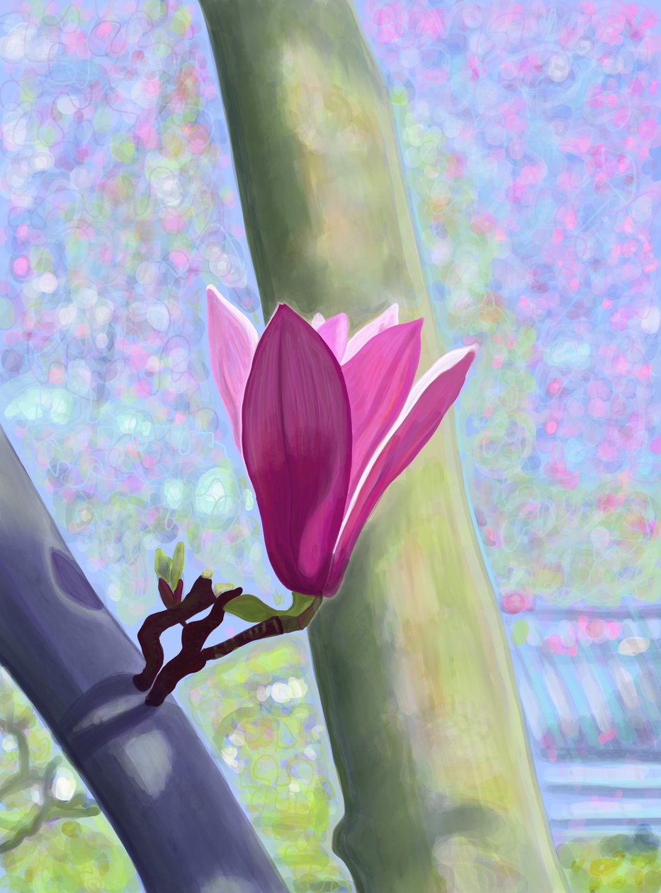 Magnolia Blossom (digital kunst) af Evan Sklar