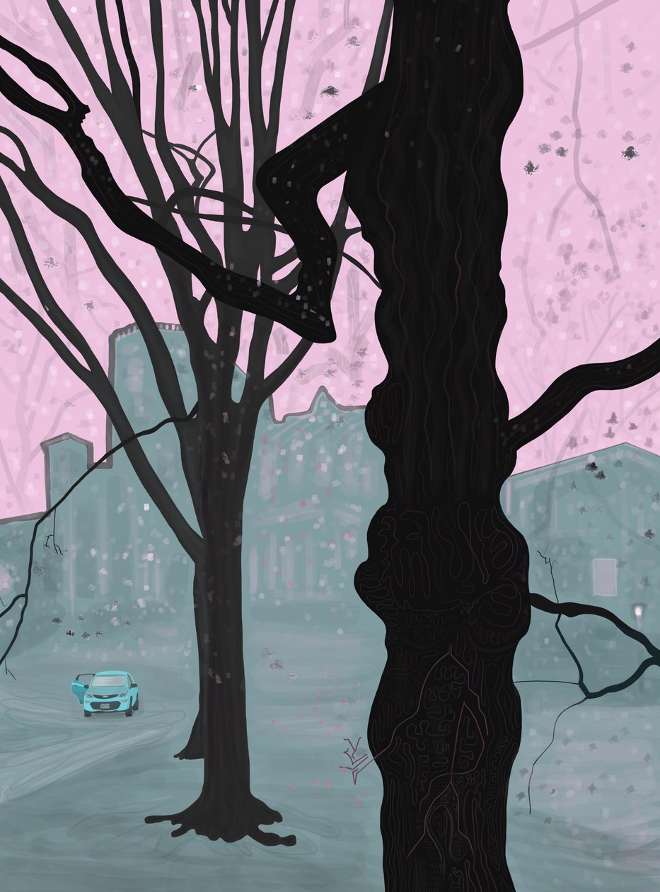 Gammelt træ, gammelt hus og bil, Brooklyn (digital kunst) af Evan Sklar