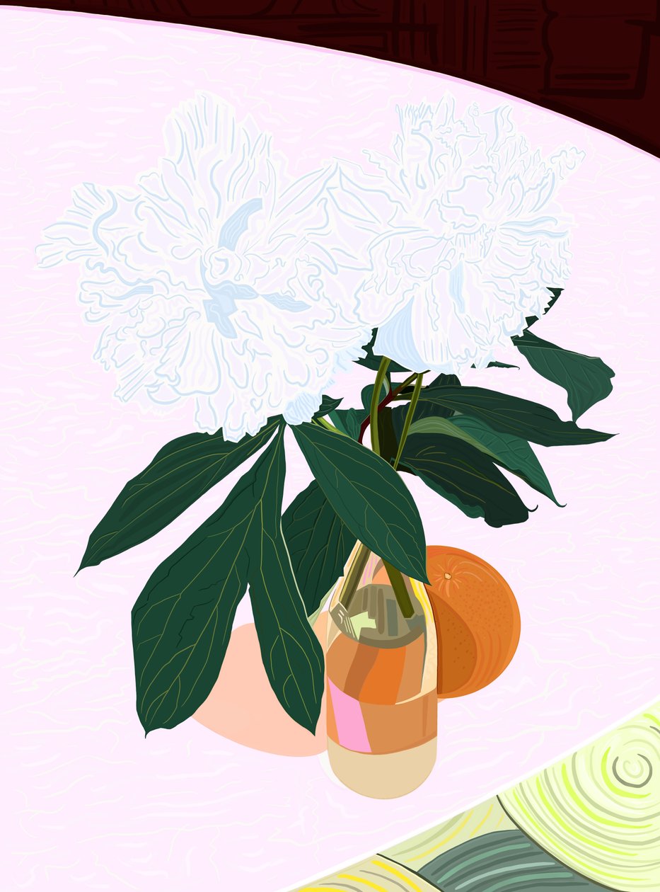 Pæon og grapefrugt, ca. 2020-24 (digital kunst) af Evan Sklar