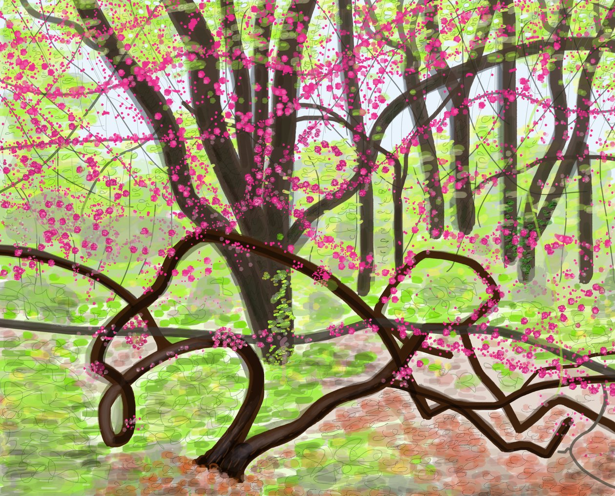 Prospect Park, forår, 2017 (håndtegnet på en iPad med en Apple-blyant) af Evan Sklar