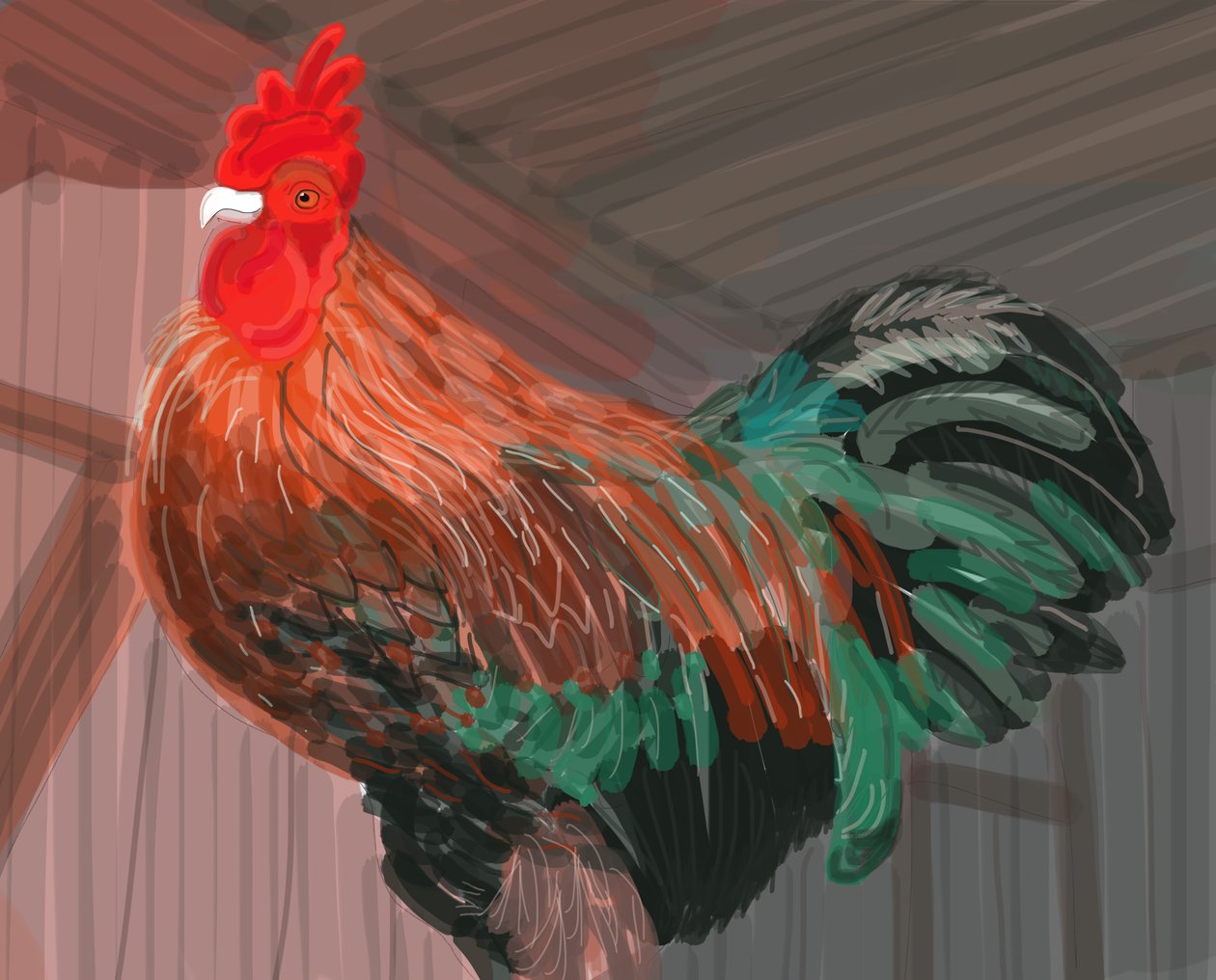 Rooster In Barn, 2018 (håndtegnet på en iPad med en Apple-blyant) af Evan Sklar