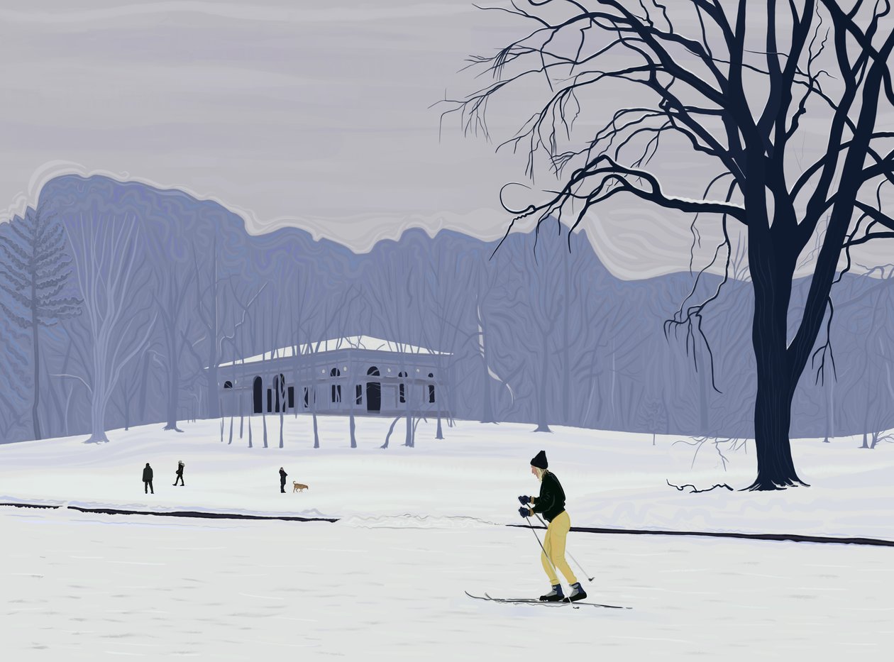 Skiløber, Prospect Park , Brooklyn (digital kunst) af Evan Sklar