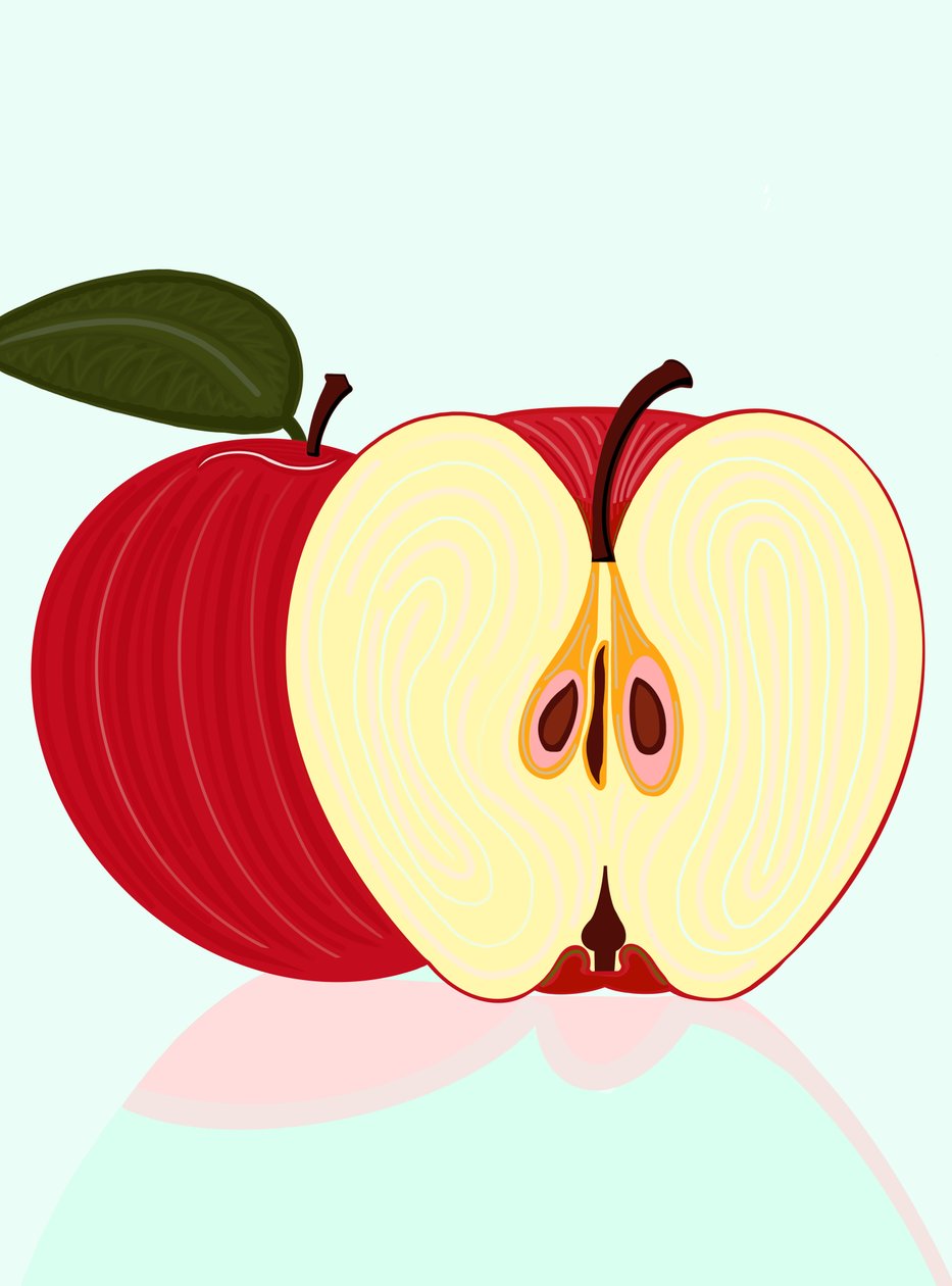 Sliced Apple Brooklyn (digital kunst) af Evan Sklar