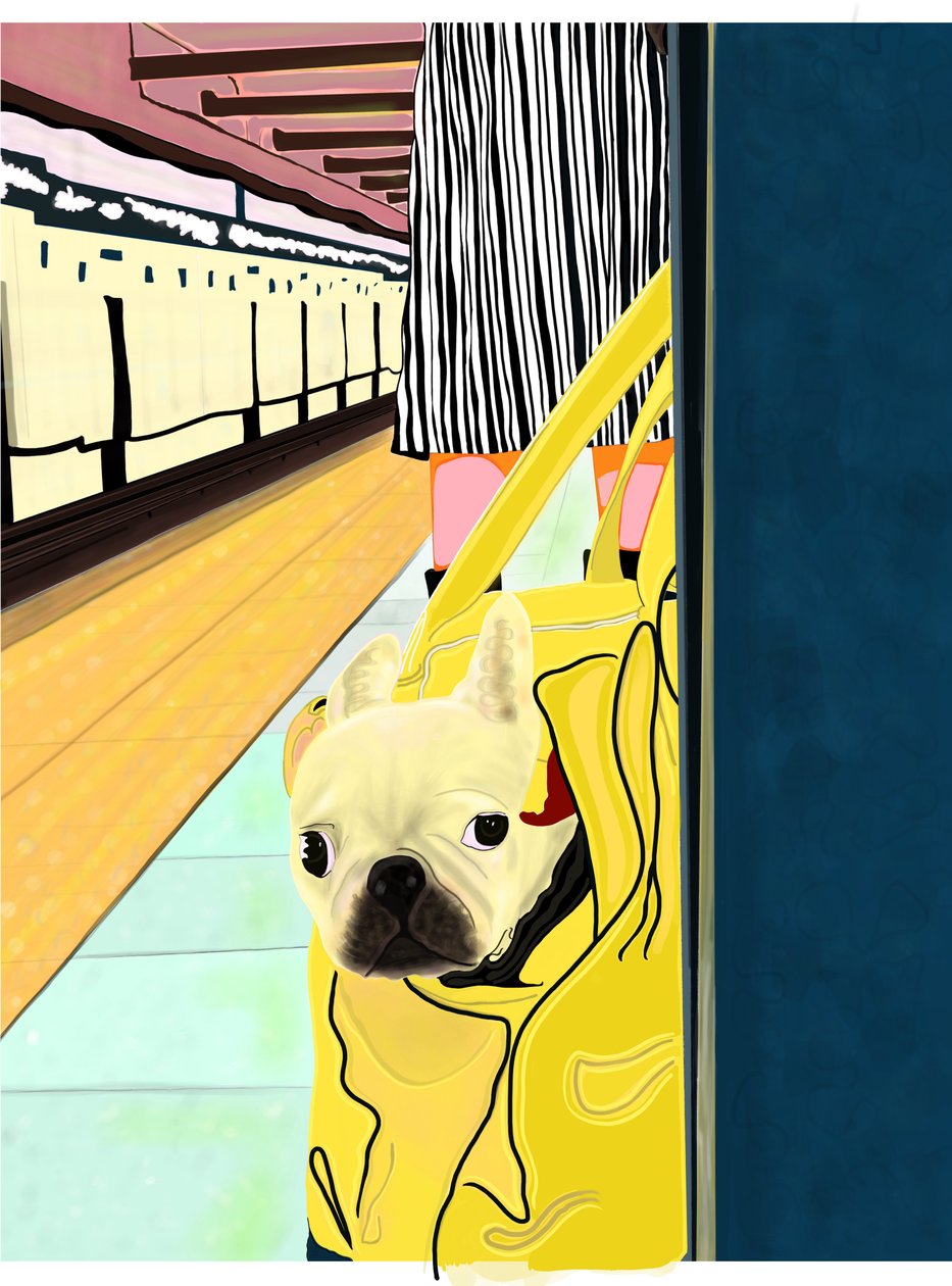 Subway-pendler med hund i taske, Brooklyn (digital kunst) af Evan Sklar