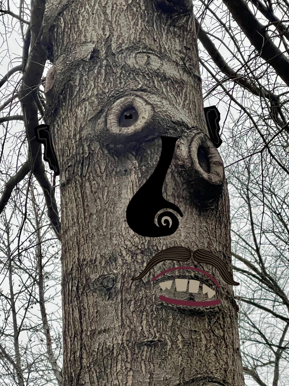 Tree Face , ca. 2020-24 (digital kunst) af Evan Sklar