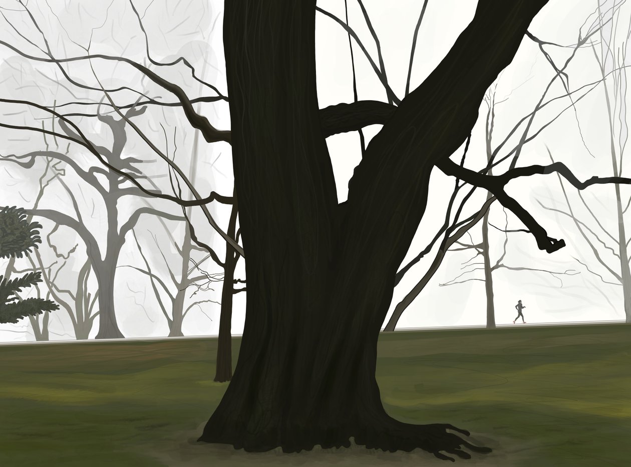 Træ og jogger. Tidlig morgen. Prospect park (digital kunst) af Evan Sklar