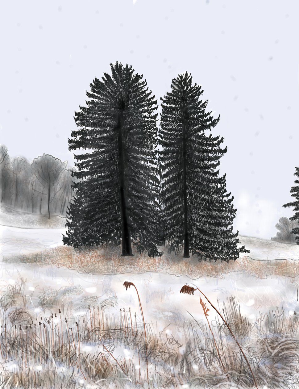 Ægteparret Pines af Evan Sklar