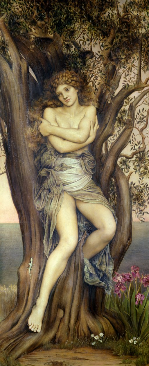 Dryaden, 1884-85 af Evelyn De Morgan