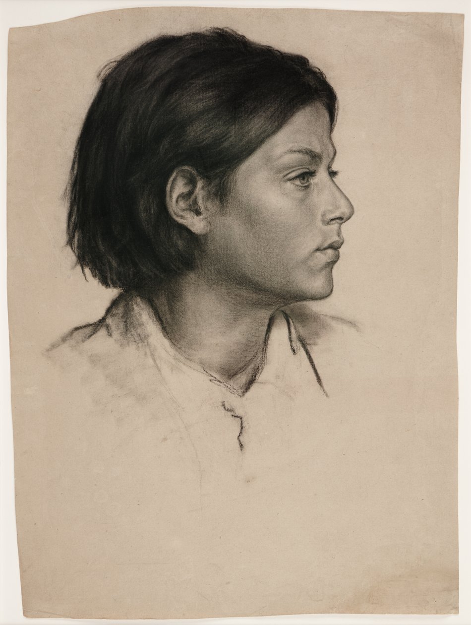 Head of a Woman, ca. 1875 (kul på papir) af Evelyn De Morgan