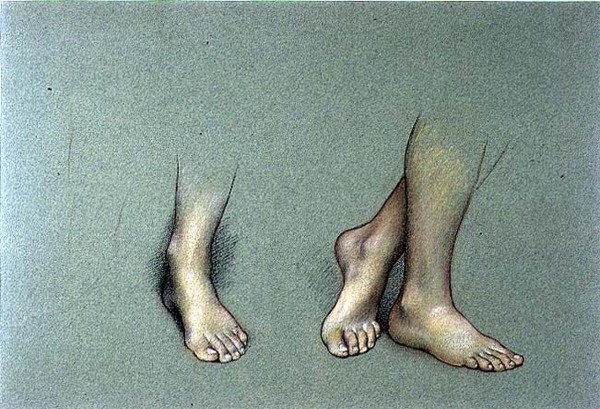 Study of Feet (pastel på papir) af Evelyn De Morgan