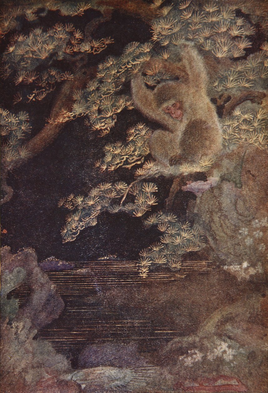 The Jellyfish and the Monkey, illustration fra 