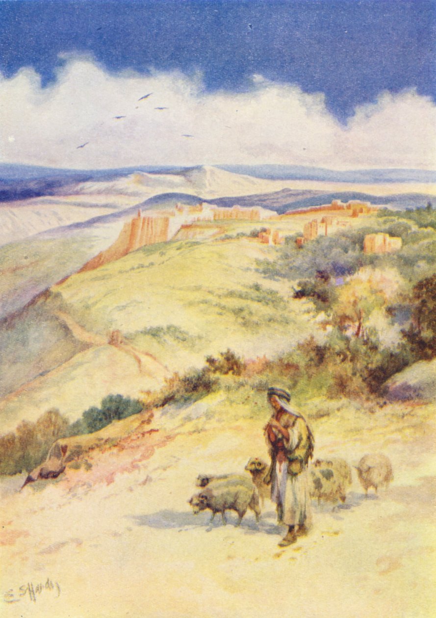  af Evelyn Stuart Hardy