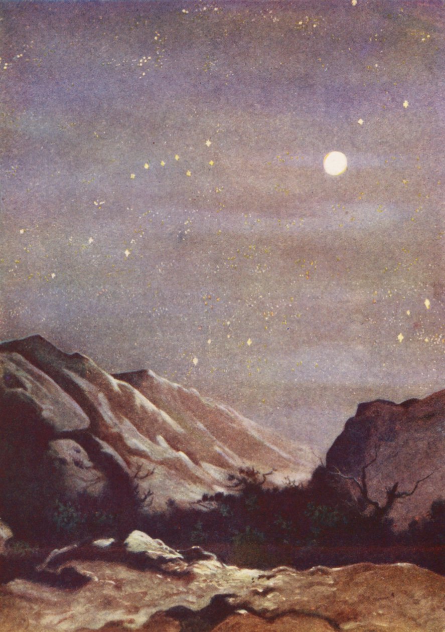  af Evelyn Stuart Hardy