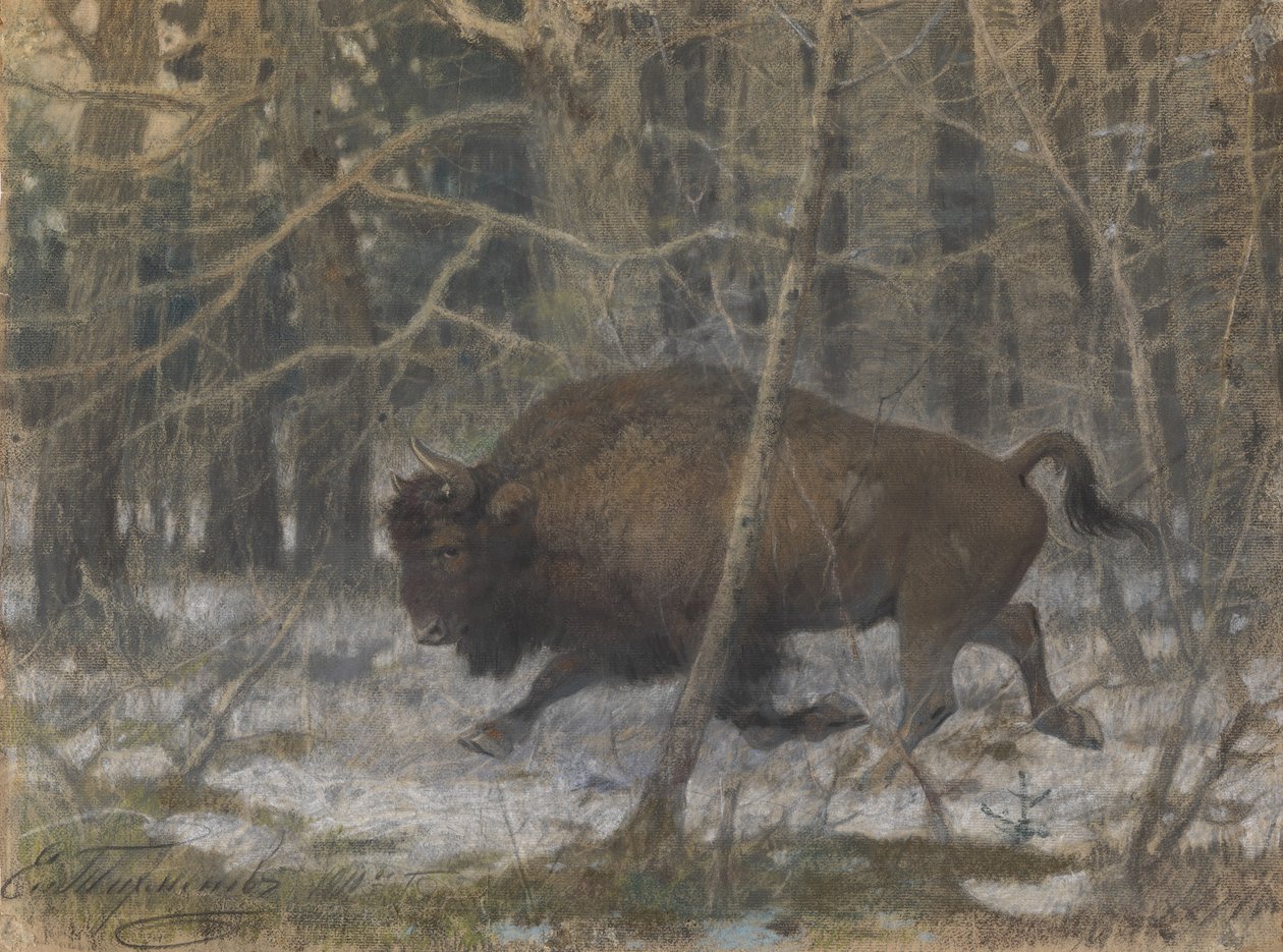 Træbisonen af Evgeny Alexandrovich Tichmenev