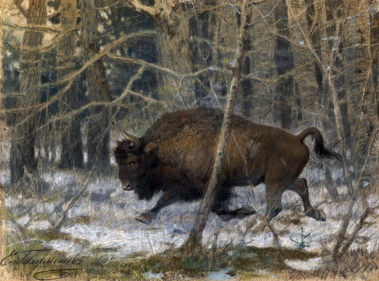""træbisonen"" Pastelmaleri af Evgeny Alexandrovich Tichmenev (Tikhmenev) (1869-1934) 1910 Privat samling af Evgeny Alexandrovich Tikhmenev
