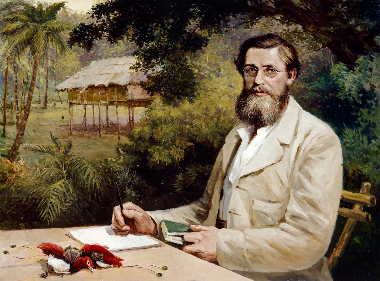 Alfred Russel Wallace (olie på lærred) af Evstafieff Evstafieff