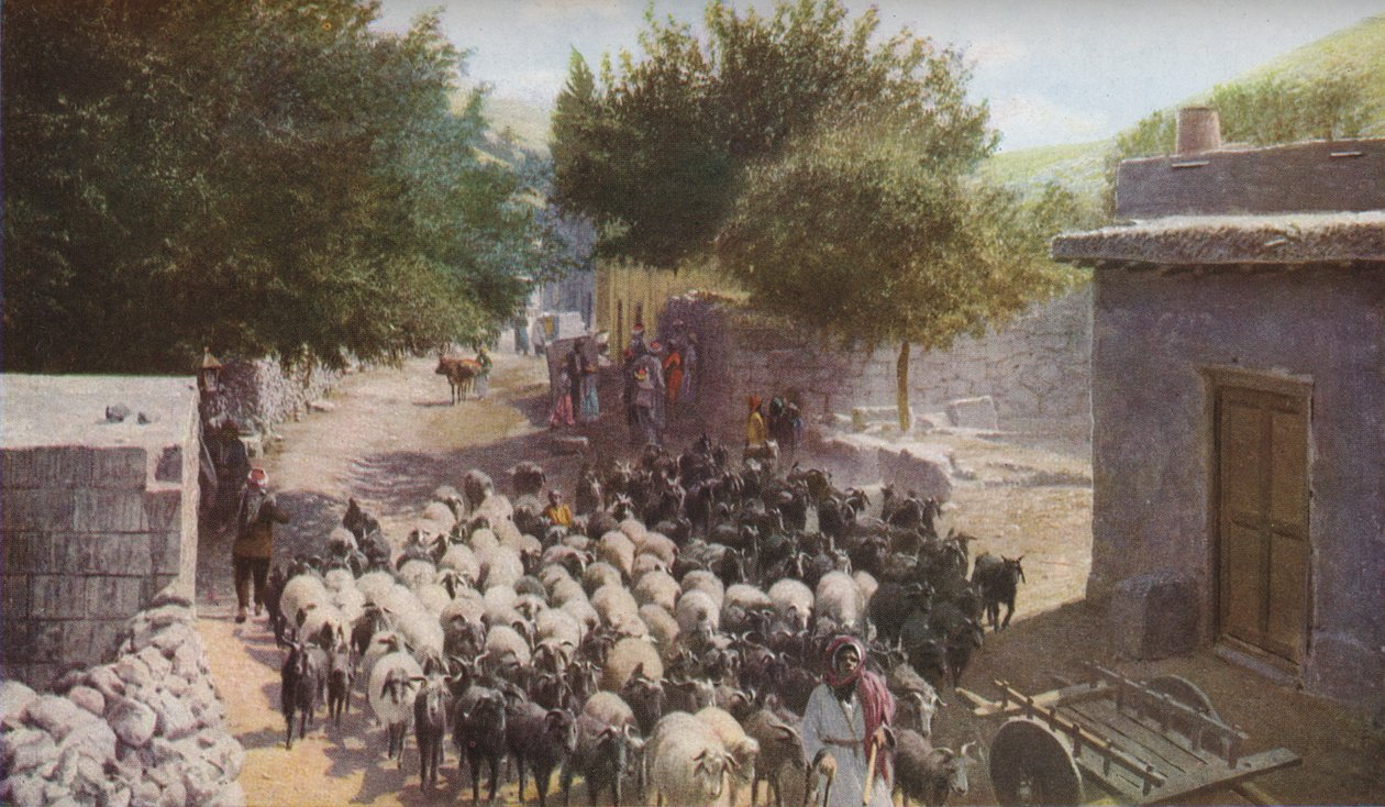 Palæstina, omkring 1930