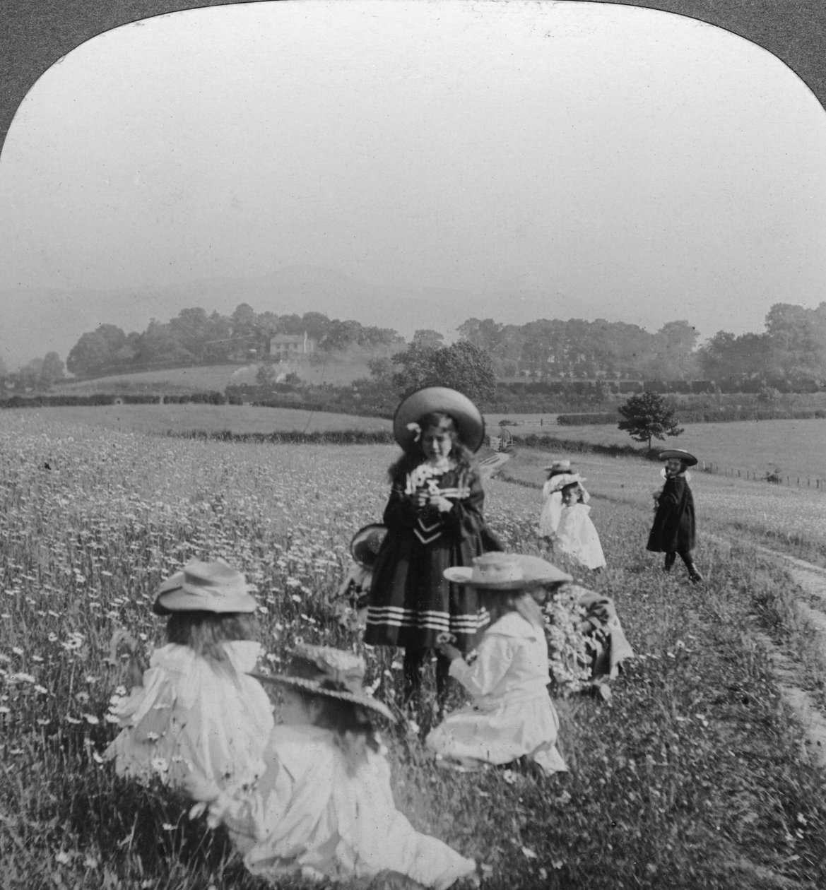 Børn på en eng, Keswick, Cumbria. af Excelsior Stereoscopic Tours