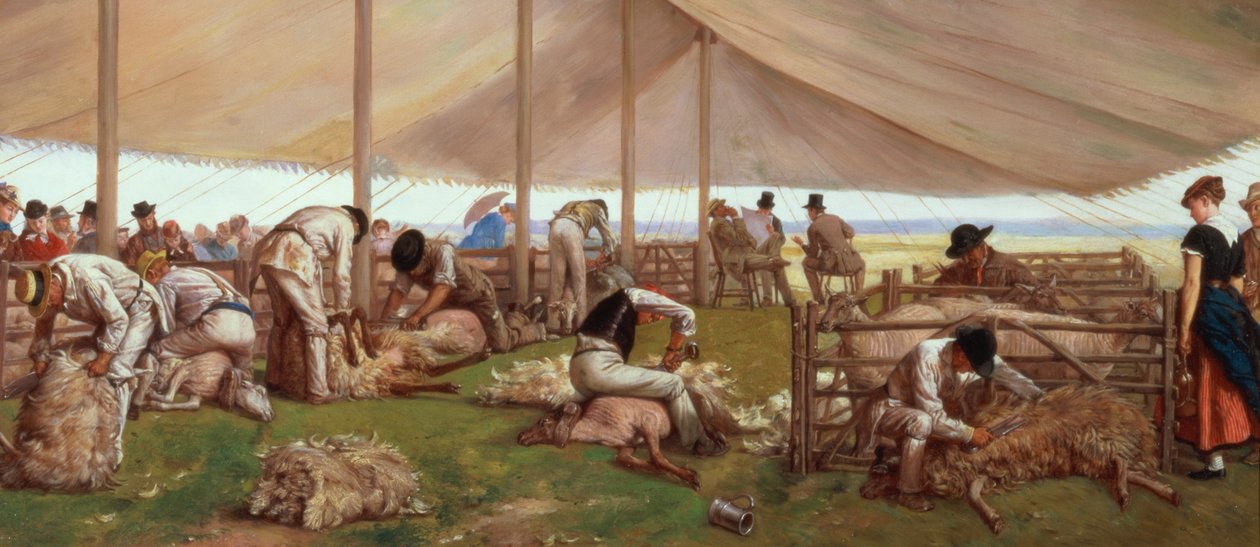Kampen om fåreklipning, 1875 af Eyre Crowe