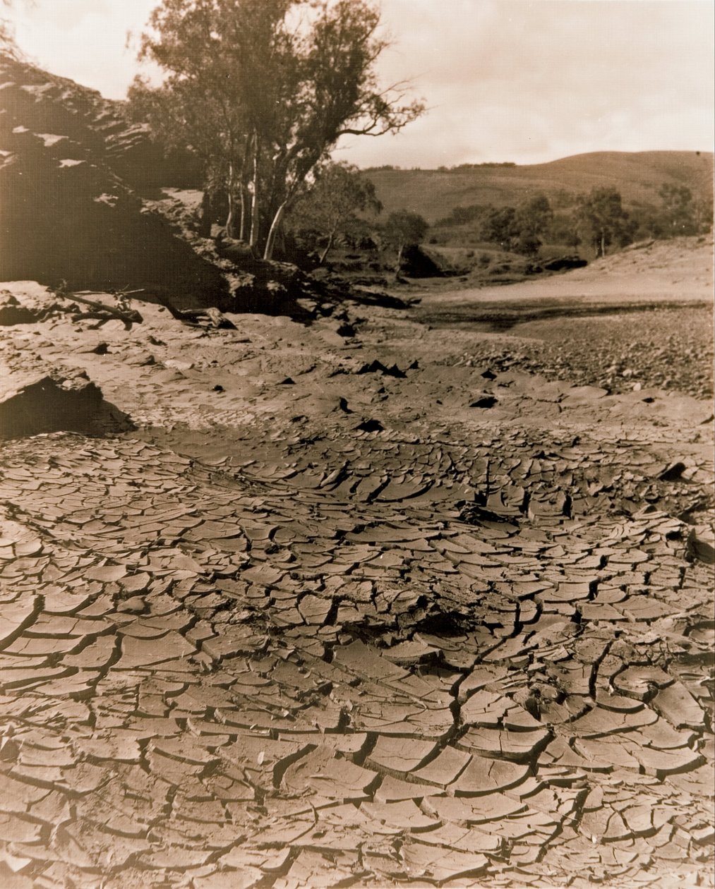 Den forsvundne pool, Flinders Ranges af F. A. Joyner