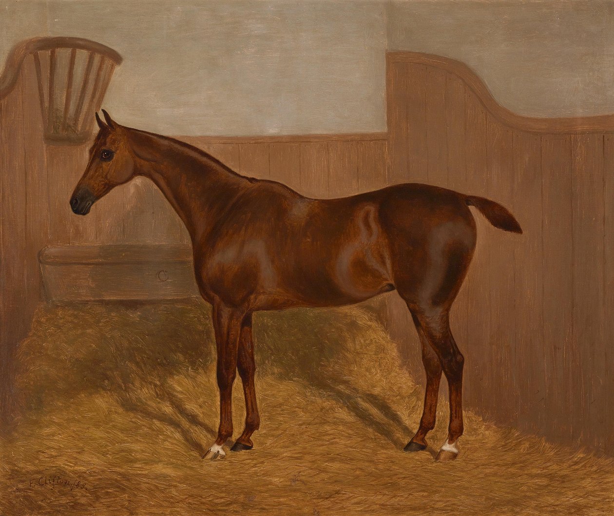 Hesteportræt (Lady Oswestry eller Dandy, et af to malerier tilbydes i et parti med disse navne) af F. Clifton
