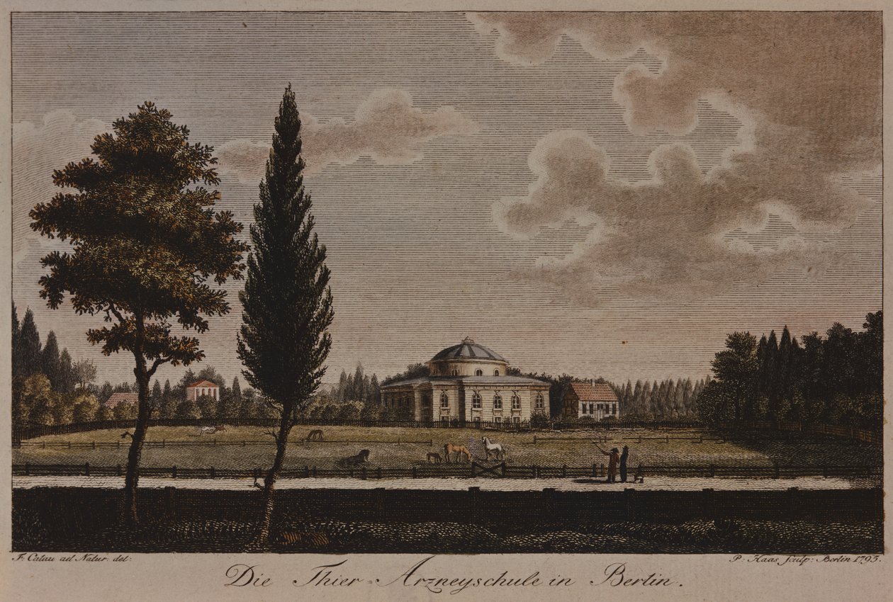 Veterinærskolen, Berlin, 1795 (radering) af F.A. Calau