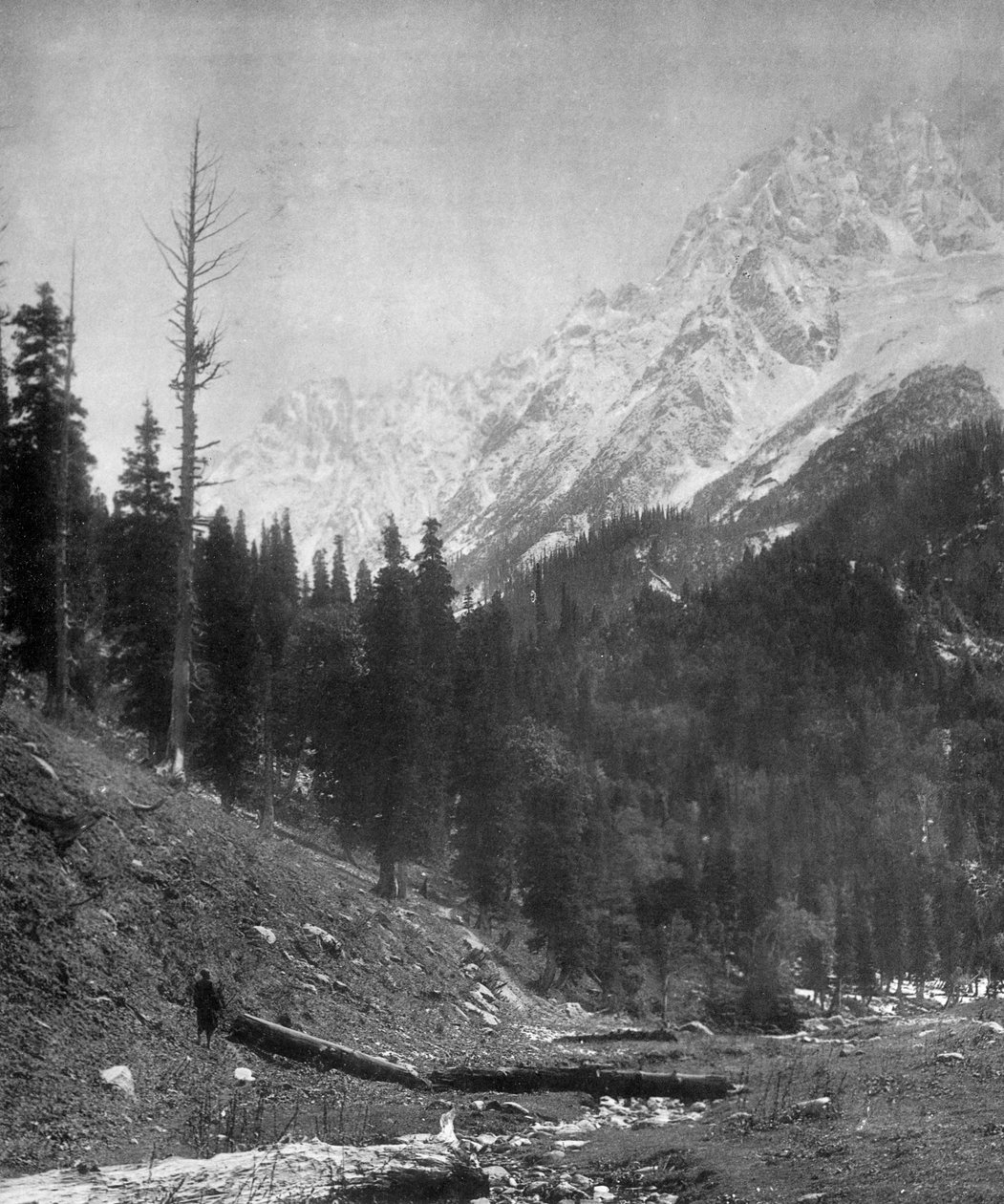 Sindh Valley-gletsjere, Kashmir, Indien, begyndelsen af det 20. århundrede af F. Bremner