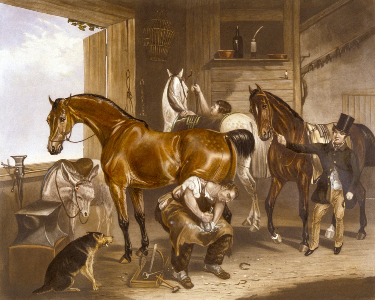 Dyrlægen, graveret af J.R. Mackrell (farve litho) af F. C. (after) Turner