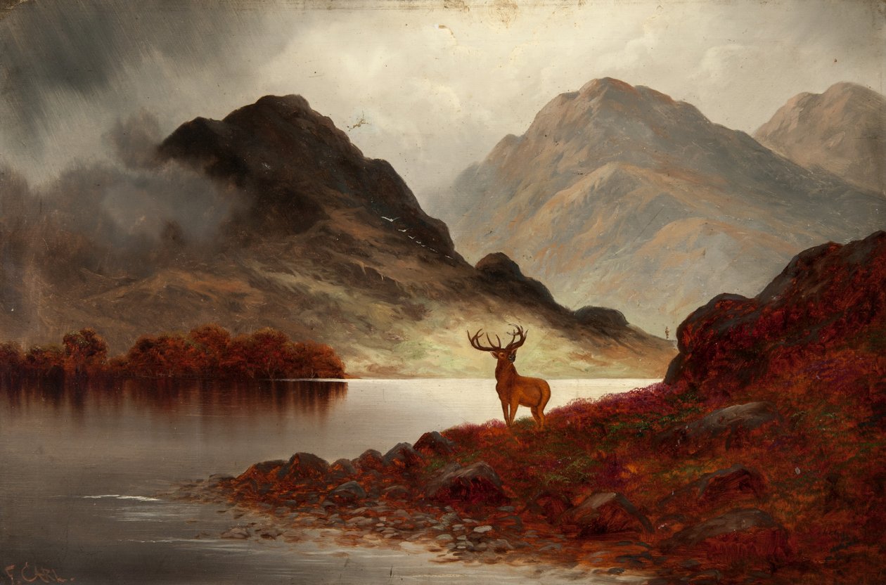 Stag at Bay (olie på lærred) af F. Carl