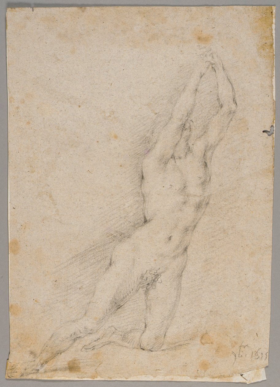 Tegning af Fedele Fischetti
