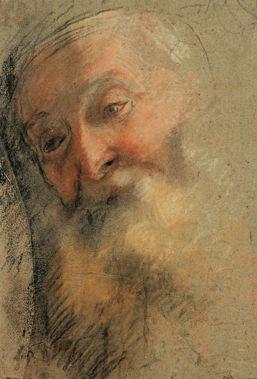 Hoved af en gammel skægmand, 1584-1586 af Federico Barocci
