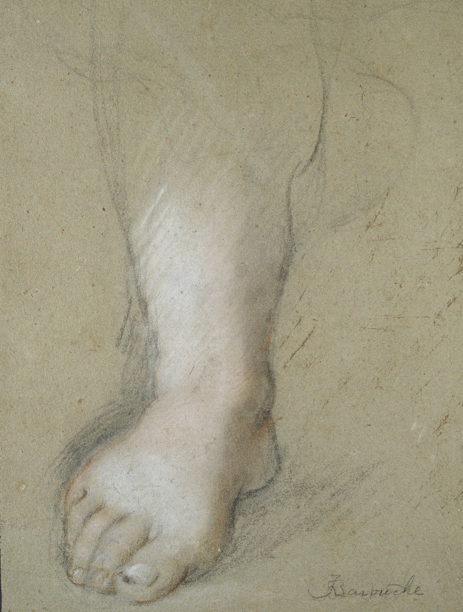 Studie af en fod (sort, rød, pink og hvid kridt på et gråligt papir) af Federico Barocci