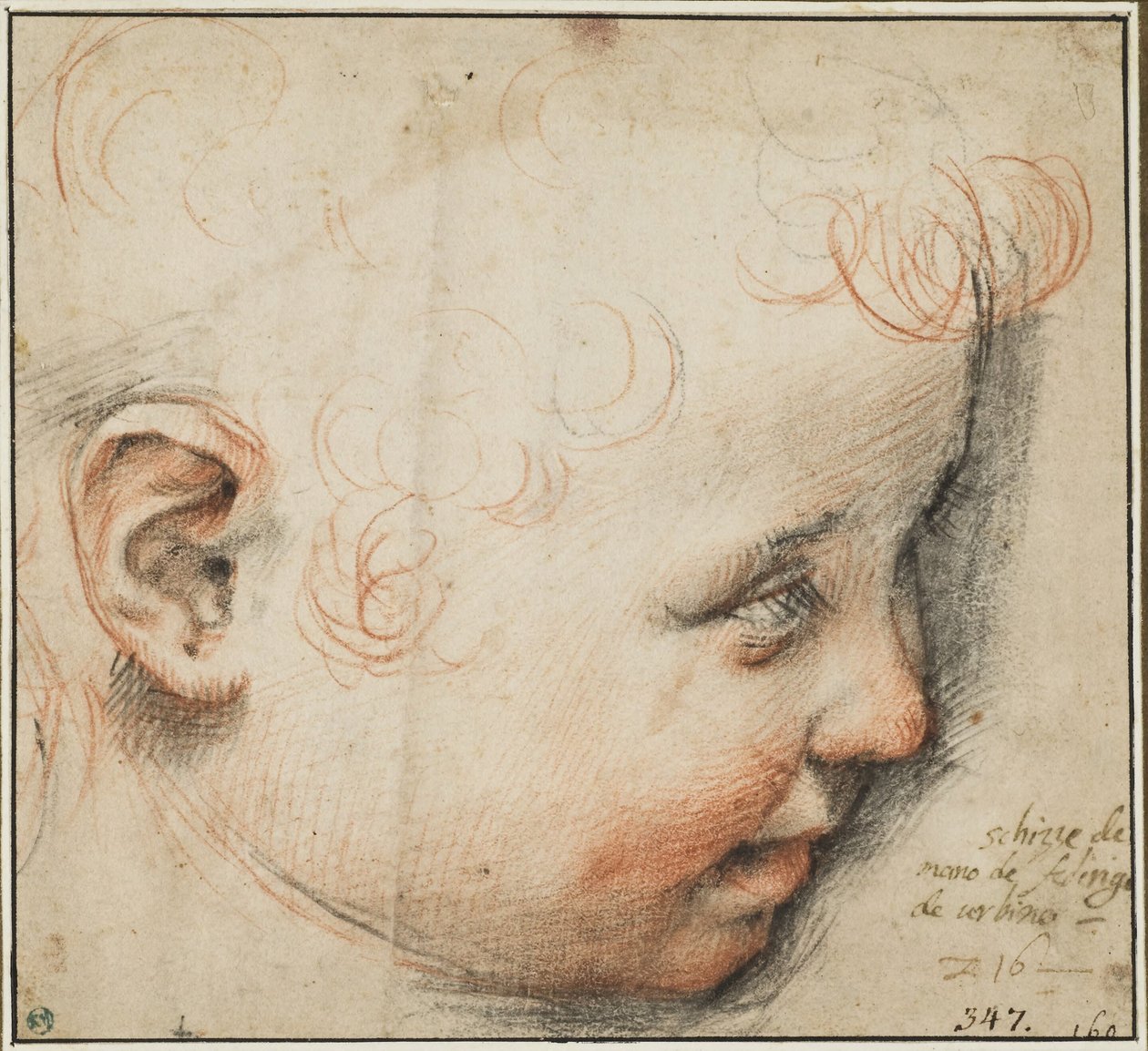 Et barnehoved i profil; måske til Jesusbarnet af Federico Barocci