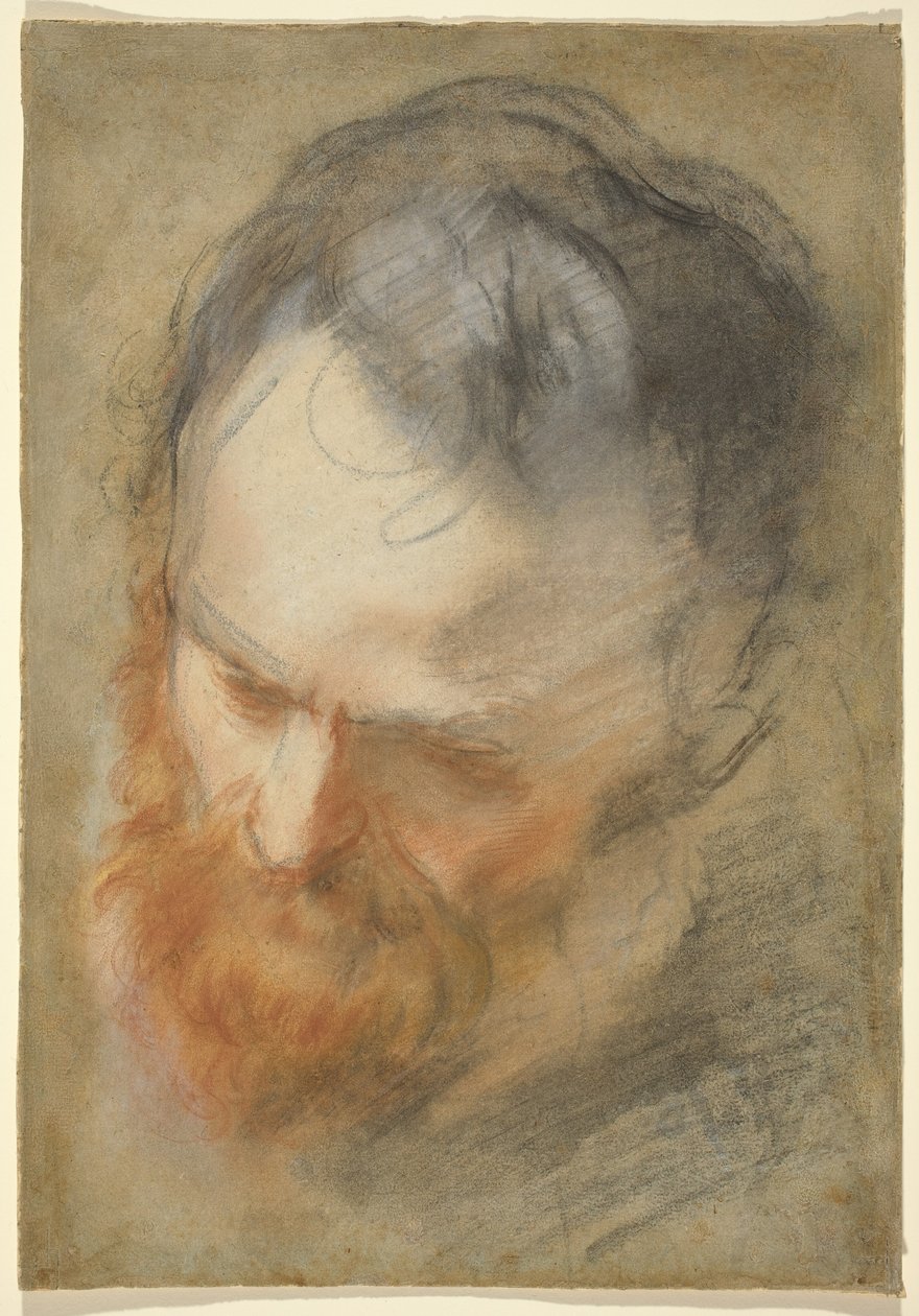 Hoved af en skægget mand af Federico Barocci