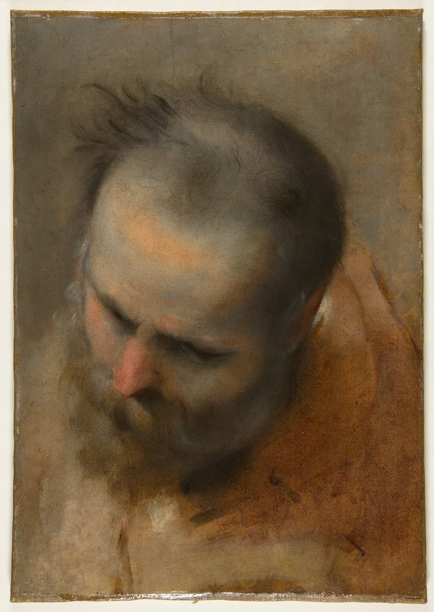 Hovedet af en skægget mand, der ser mod venstre ned (Nikodemus) af Federico Barocci