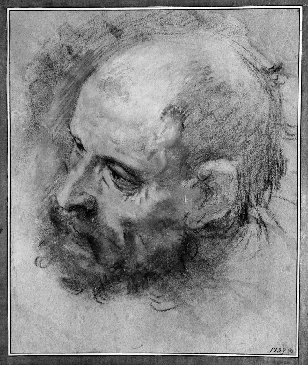 Hovedstudie af en skægget mand vendt mod venstre og hældende til siden af Federico Barocci