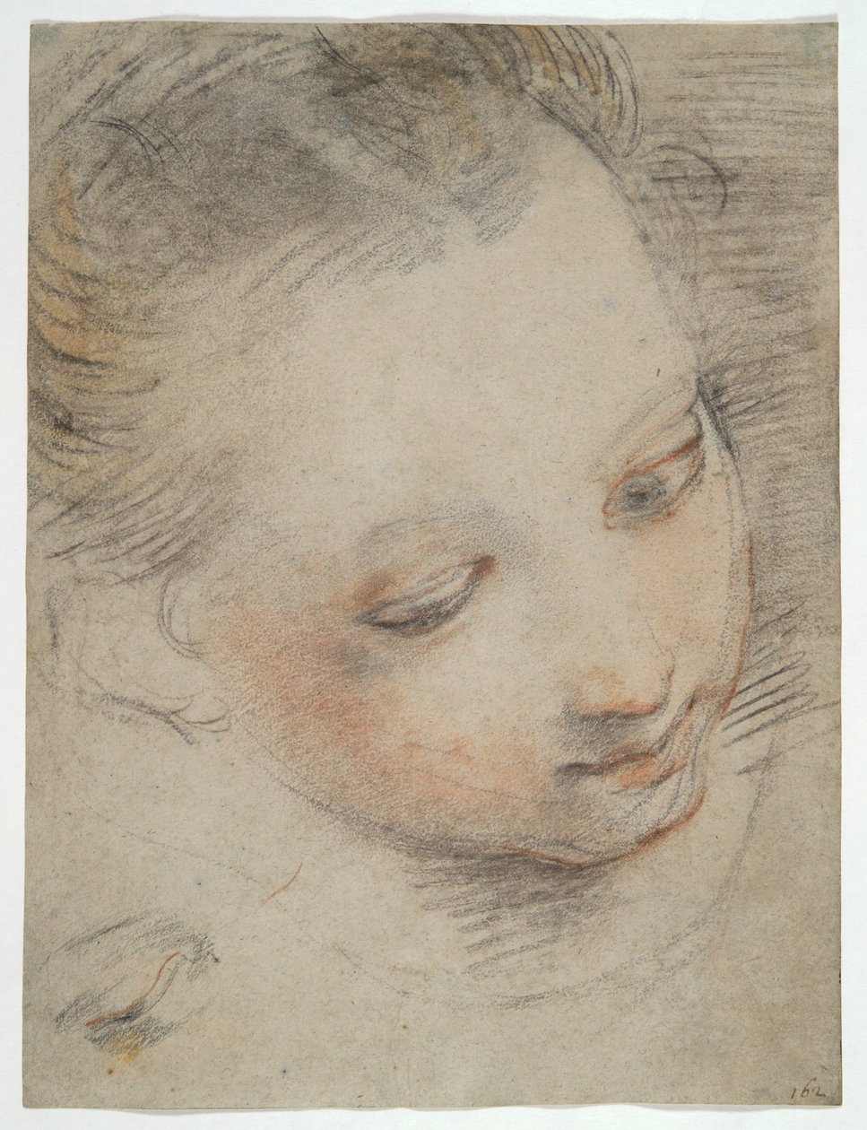 Head of a Girl, studere for en figur i Madonna del Popolo-altertavlen i Uffizierne af Federico Barocci
