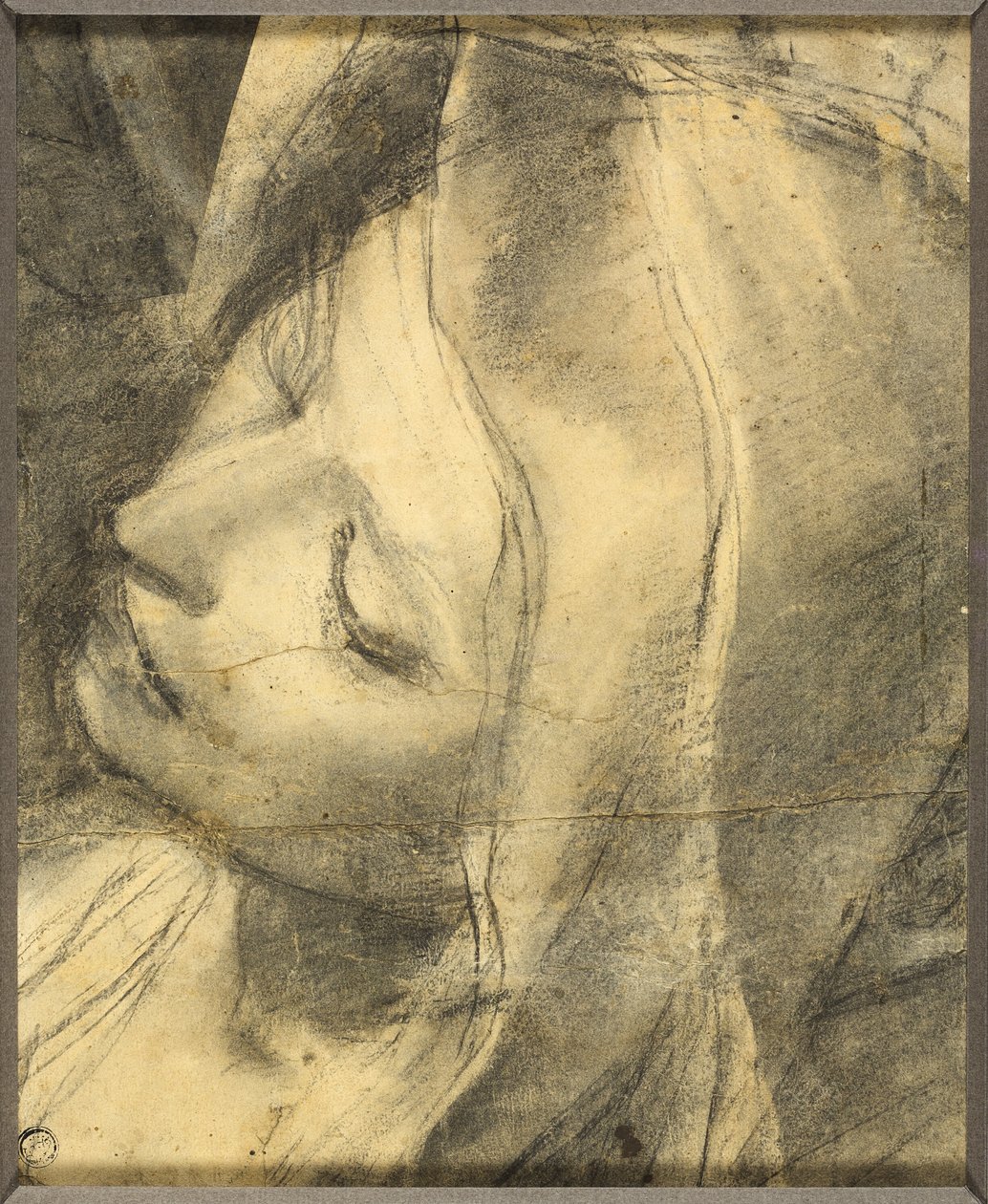 Hovedet af den besvimede jomfru: Studie til deponering (recot) Basen af søjlen (verso) af Federico Barocci