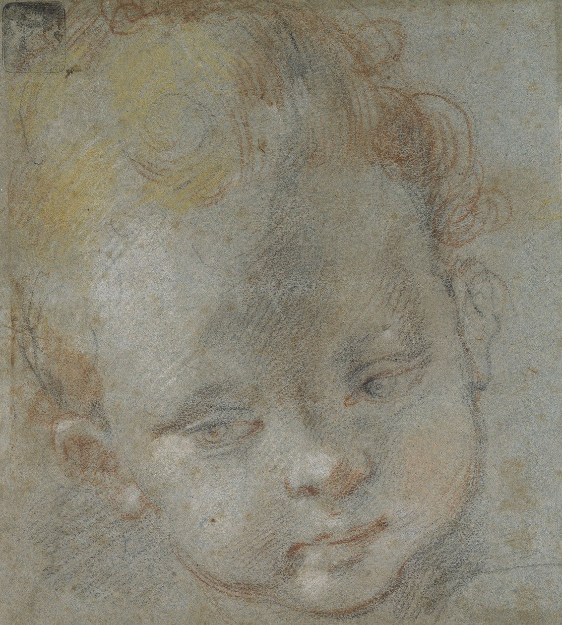 Recto: Hoved af et barn (sort, rød, hvid, pink og gul kridt på blågråt papir) af Federico Barocci