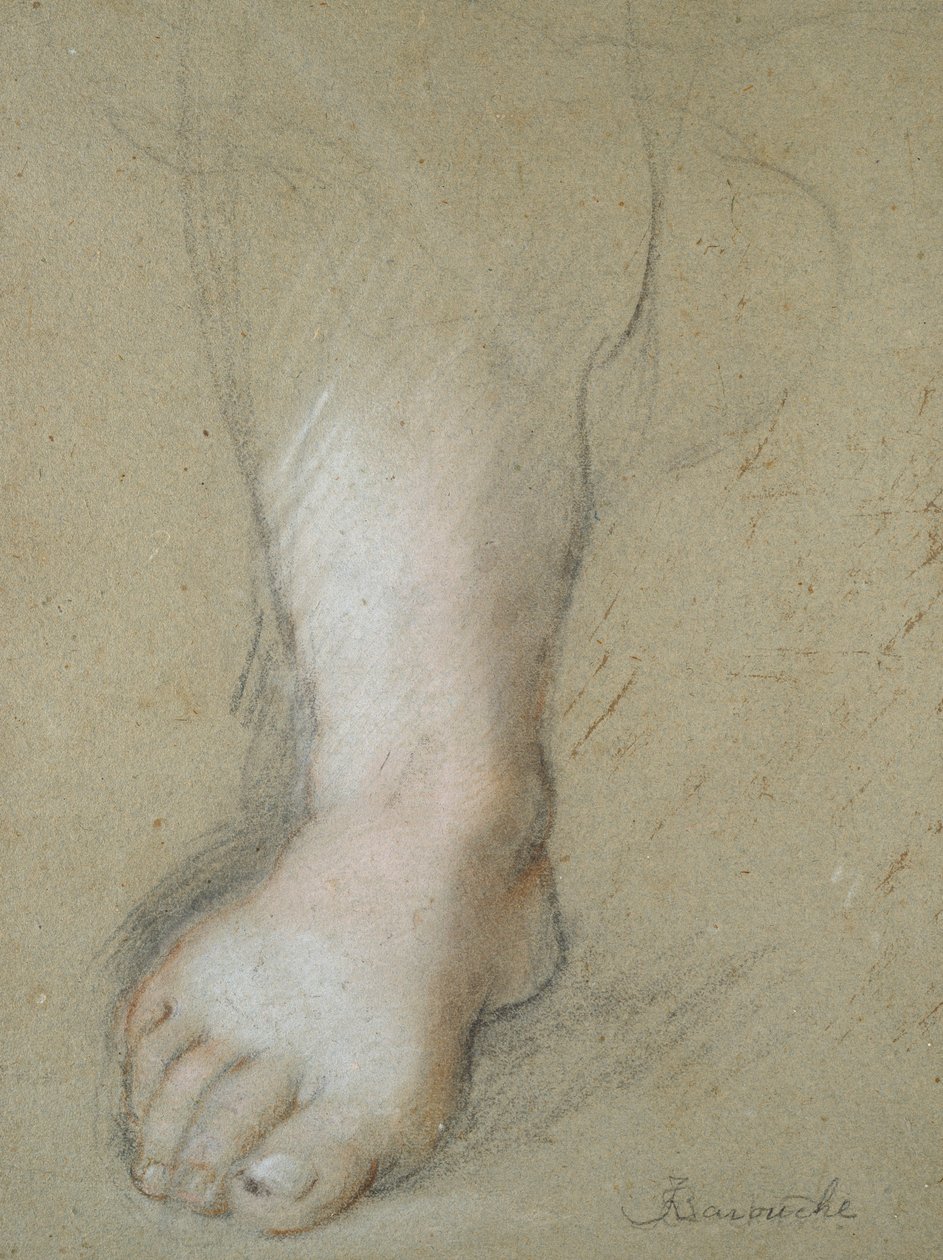 Studie af en fod, slutningen af det 16. århundrede af Federico Barocci