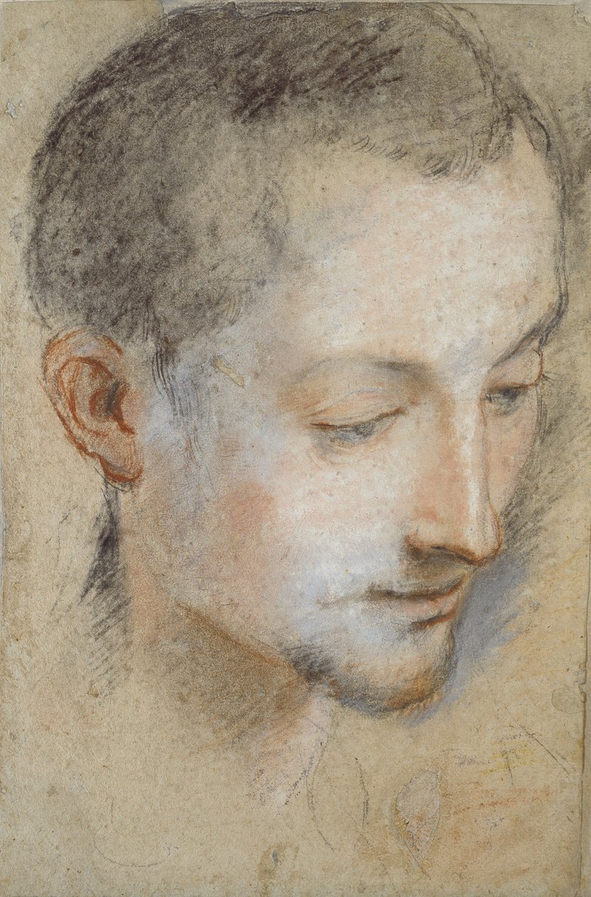 Studie af en ung mands hoved, slutningen af det 16. århundrede af Federico Barocci