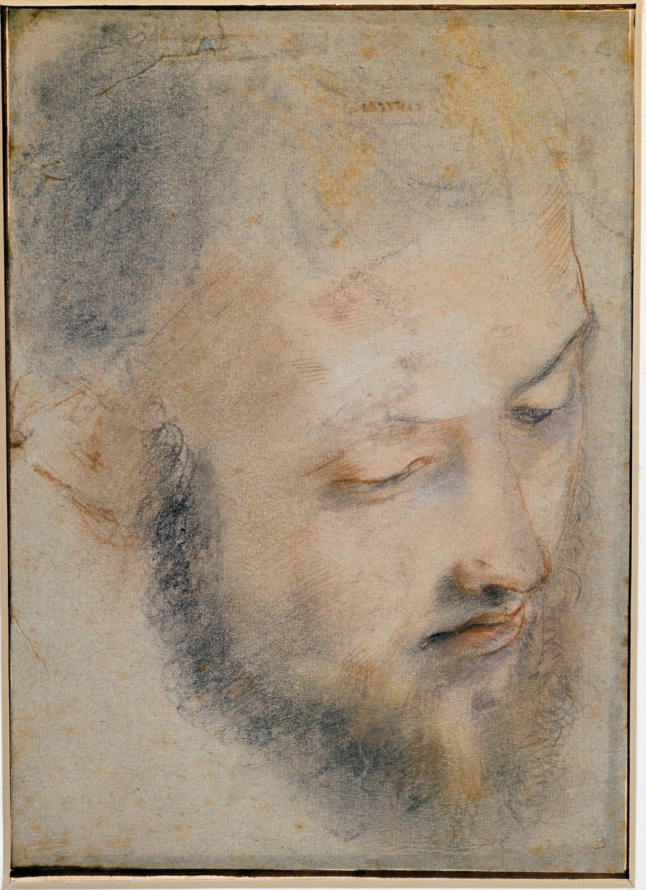 Study of head Drawing by Baroccidani af Federico Barocci